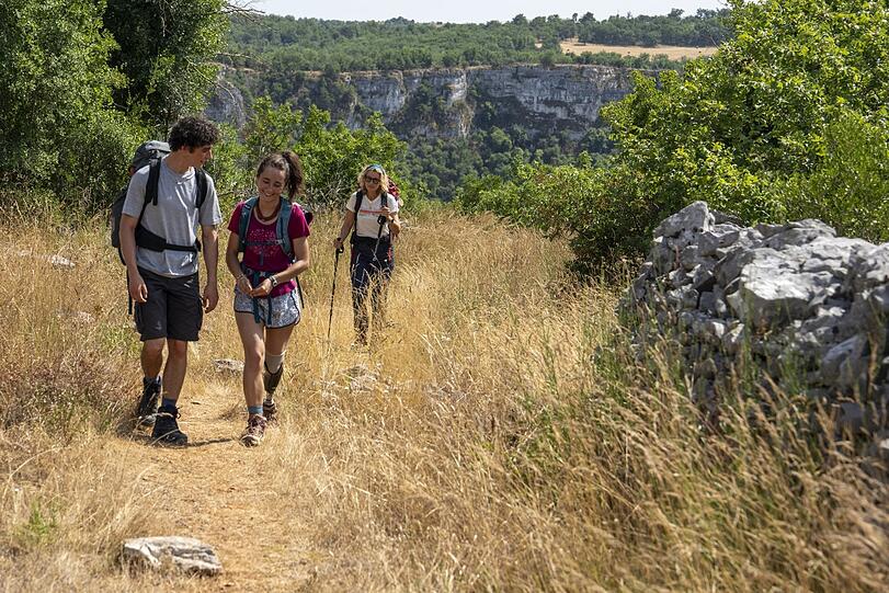 Der Weg ist das Ziel. Der Film führt auf der Via Podiensis, die in Le Puy-en-Velay beginnt und zu den meist begangenen Routen des Jakobswegs gehört. Der Weg ist das Ziel. Der Film führt auf der Via Podiensis, die in Le Puy-en-Velay beginnt und zu den meist begangenen Routen des Jakobswegs gehört.