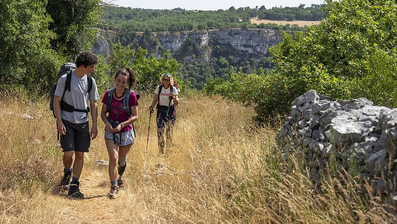 Der Weg ist das Ziel. Der Film führt auf der Via Podiensis, die in Le Puy-en-Velay beginnt und zu den meist begangenen Routen des Jakobswegs gehört. Der Weg ist das Ziel. Der Film führt auf der Via Podiensis, die in Le Puy-en-Velay beginnt und zu den meist begangenen Routen des Jakobswegs gehört.