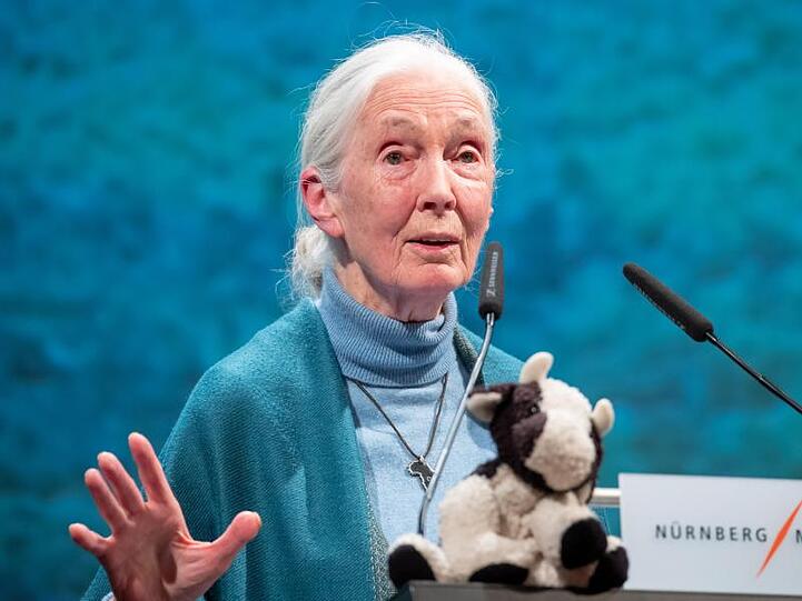 Jane Goodall, Primatenforscherin aus Großbritannien, spricht. Foto: Daniel Karmann/dpa/Archivbild