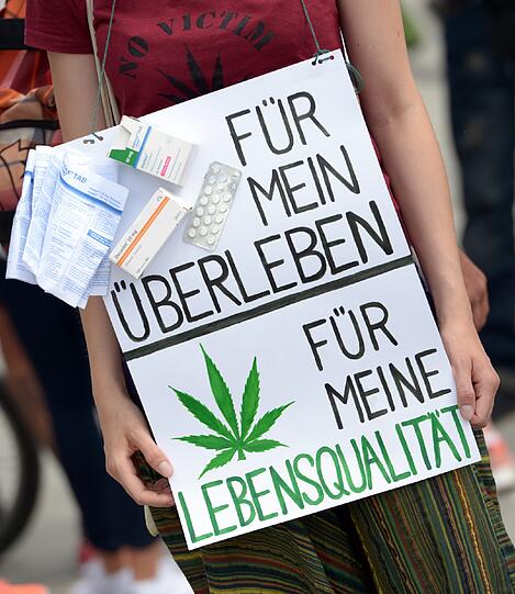 Bilder von der Hanfparade.