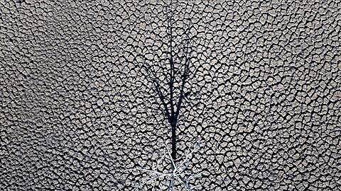 Klimazertifikate aus Drittl&auml;ndern k&ouml;nnten k&uuml;nftig mit EU-Emissionen verrechnet werden. (Symbolbild)