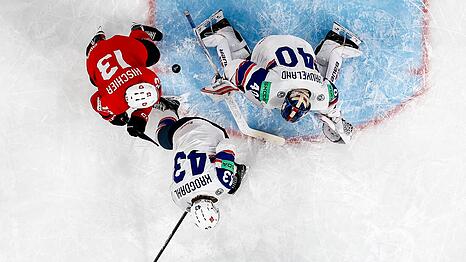 Verl&auml;sst die Straubing Tigers: Henrik Haukeland. (Archivbild)