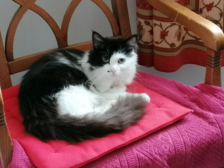 Jimmy