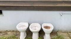 Wer kann wertvolle Hinweise zur Herkunft dieser Toiletten liefern?