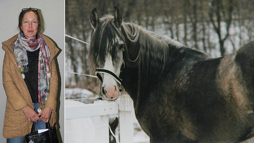 Pferd Carlos wurde nur 16 Jahre alt. Seine Besitzerin Martina H. klagt jetzt gegen den Bund.