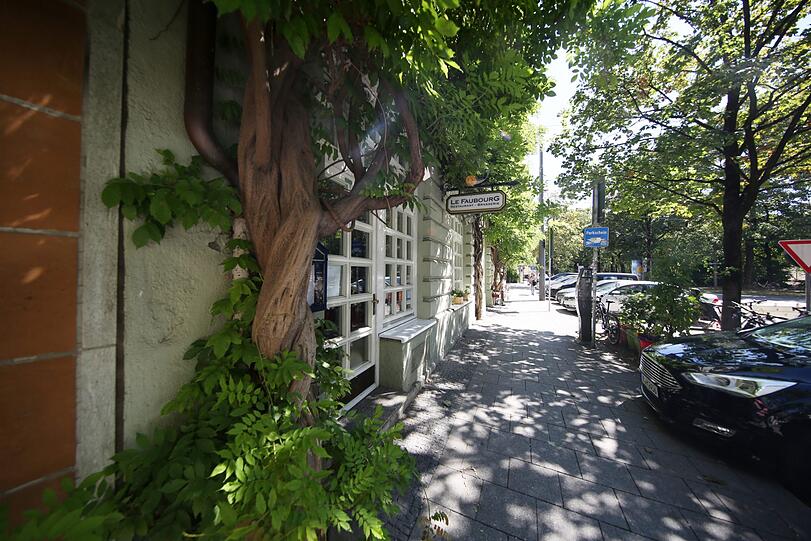 Es grünt so grün in der Kirchenstraße.