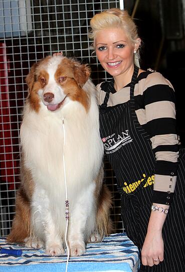 Australian Shepherd "Cruft" und sein Frauchen Viktoria Petzold haben auch schon in England einen Preis gewonnen.