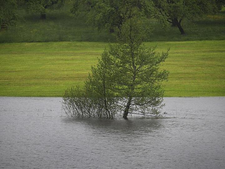 Bäume stehen auf einer überfluteten Wiese. Foto: Karl-Josef Hildenbrand/dpa/Archivbild