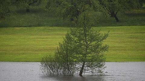 Bäume stehen auf einer überfluteten Wiese. Foto: Karl-Josef Hildenbrand/dpa/Archivbild