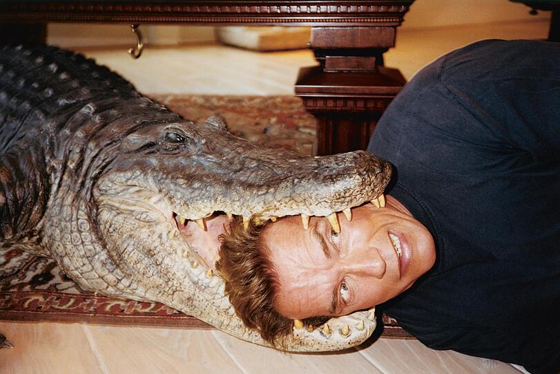 Schwarzenegger: ist sich f&uuml;r nichts zu schade.