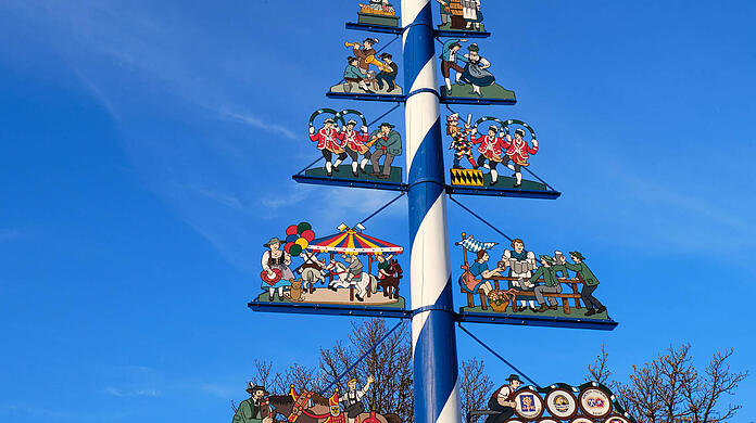 Auch auf den Viktualienmarkt kommt am 1. Mai ein neuer Baum.