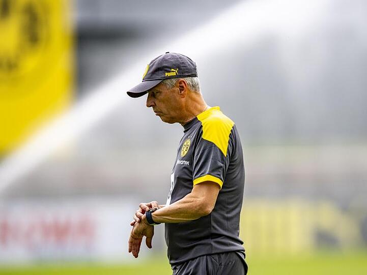 BVB-Trainer Lucien Favre hat einen "unprofessionellen" und "übertriebenen" Umgang der deutschen Medien mit ihm beklagt.