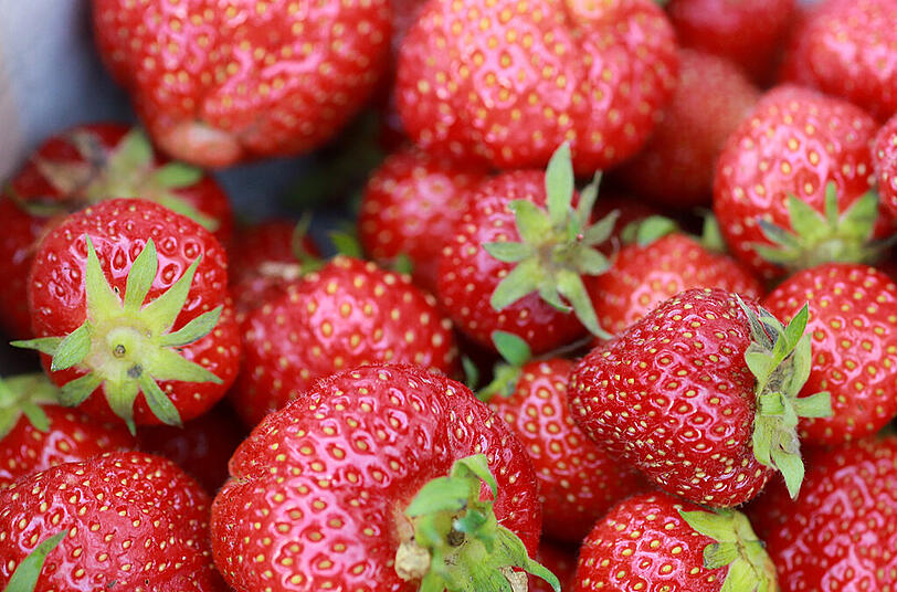 Erdbeeren schmecken nicht nur gut - sie sind auch sehr gesund!
