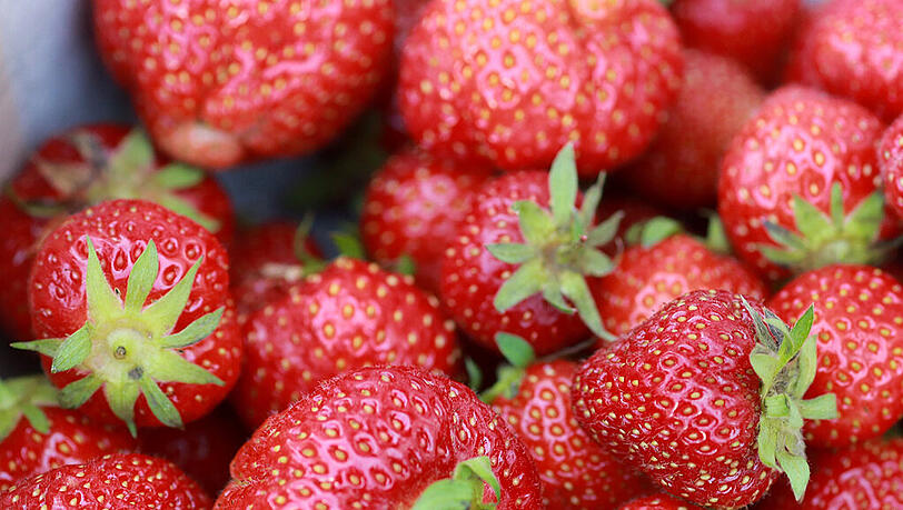 Erdbeeren schmecken nicht nur gut - sie sind auch sehr gesund! Erdbeeren schmecken nicht nur gut - sie sind auch sehr gesund!