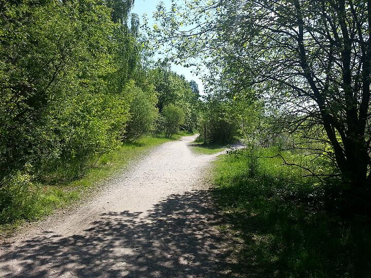Idyllisch ist die "Neuperlacher Wildnis".