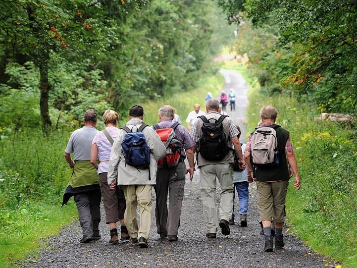 Eine Wandergruppe ist in der hessischen Rhön nahe der Wasserkuppe im Roten Moor unterwegs. Foto: Uwe Zucchi/Archiv