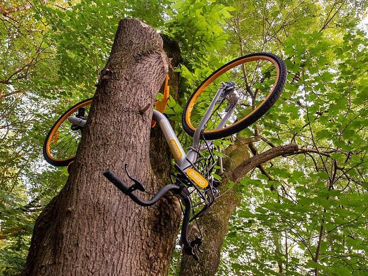 Ein Rad des Verleihunternehmens Obike hängt in München in einem Baum. Foto: Peter Kneffel/Archivbild
