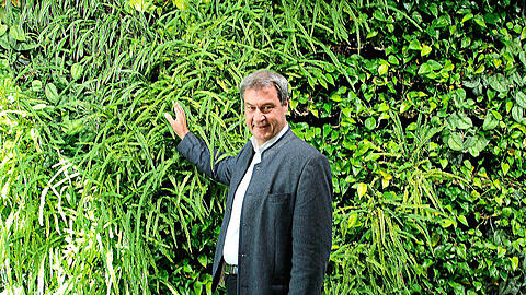 Markus Söder (CSU) vor einem hängenden Garten in der Staatskanzlei.