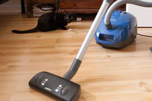 Die Katze und der Staubsauger: In Bayreuth hat diese Kombination einen Rettungseinsatz ausgelöst