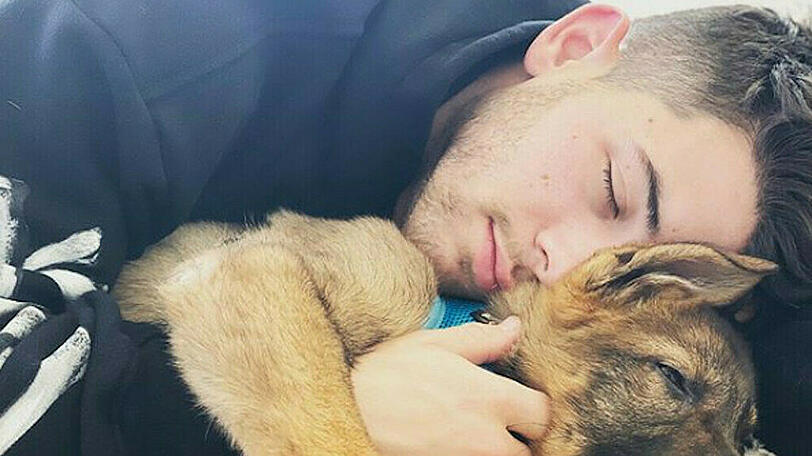 Nick Jonas hat eine neue Lieblingsbeschäftigung am Morgen