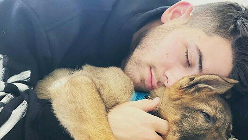 Nick Jonas hat eine neue Lieblingsbeschäftigung am Morgen Nick Jonas hat eine neue Lieblingsbeschäftigung am Morgen