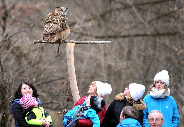 Die Greifvogel-Show im Tierpark hat jetzt eine richtige Zuschauertribüne bekommen. Am Dienstag wurde sie eröffnet.