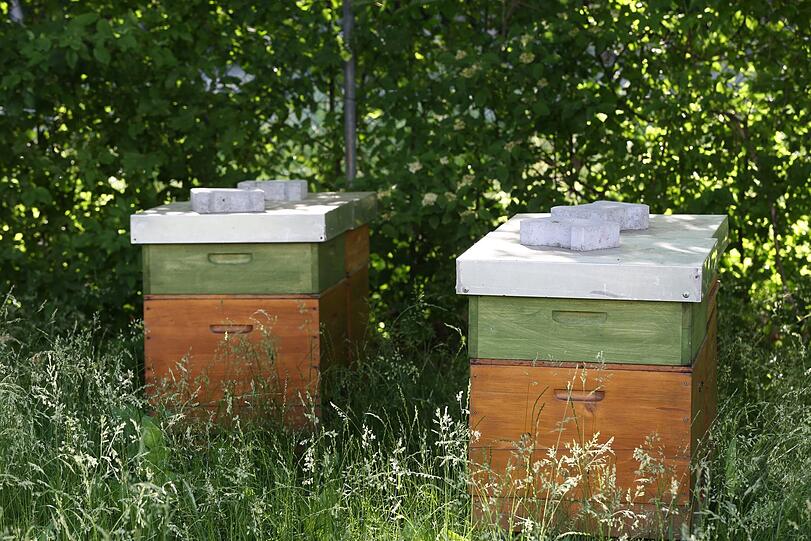 Wo diese Bienenkörbe stehen? Am Schwabinger Tor!