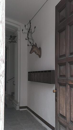 Halali in der Türkenstraße: In diesem Hauseingang hängt ein Hirsch an der Wand.
