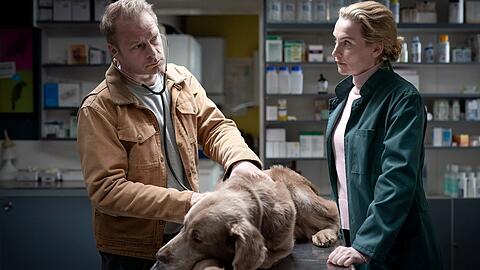 "Nord bei Nordwest: Die letzte Fähre": Hauke Jacobs (Hinnerk Schönemann) ist verwirrt: Seit wann kennt sich Hannah Wagner (Jana Klinge) mit Tiermedizin aus?