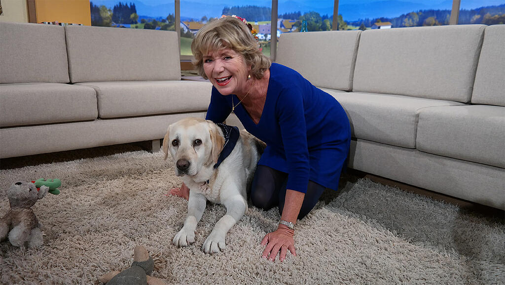 Wem Gehört Henry Der Hund Von Wir In Bayern www.abendzeitung-muenchen.de