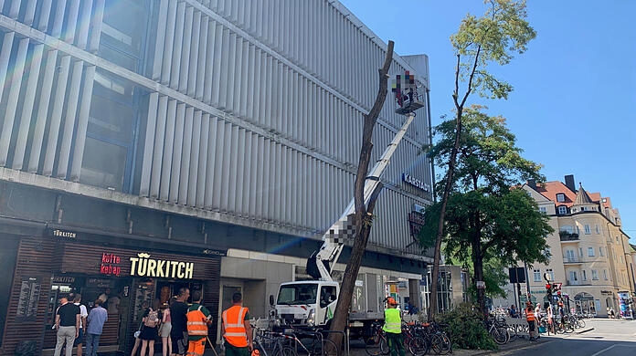 Einen Tag, nachdem die Gutachter Zugversuche gemacht haben, rücken Baumpfleger mit der Säge an. Alle Robinien neben dem Karstadt in der Feilitzschstraße werden gefällt.