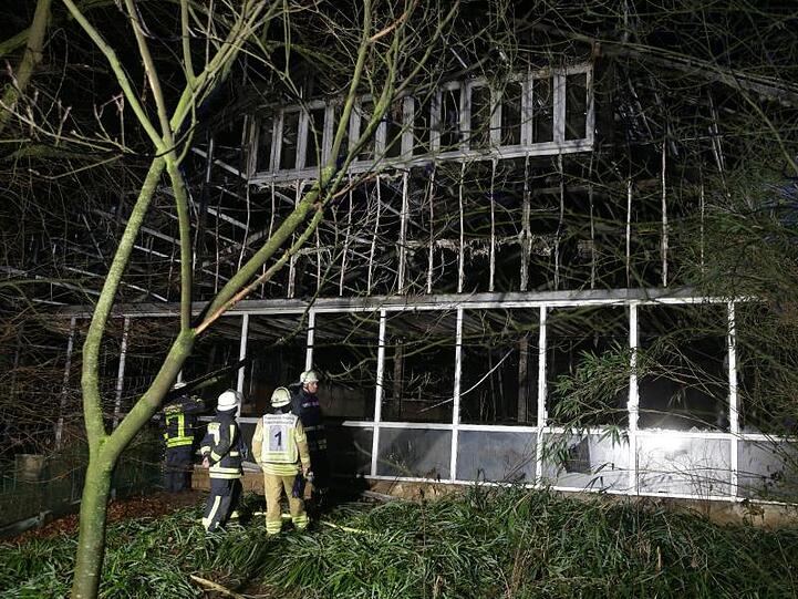 Feuerwehrleute stehen nach Löscharbeiten vor dem Affenhaus.