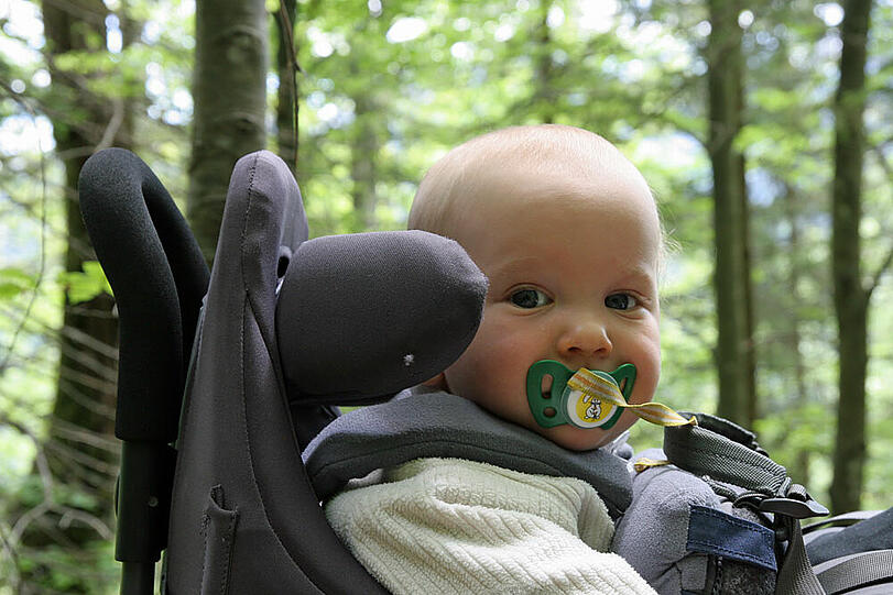 Ein gut geplanter Wanderausflug mit Kindern garantiert aufregende Erlebnisse.