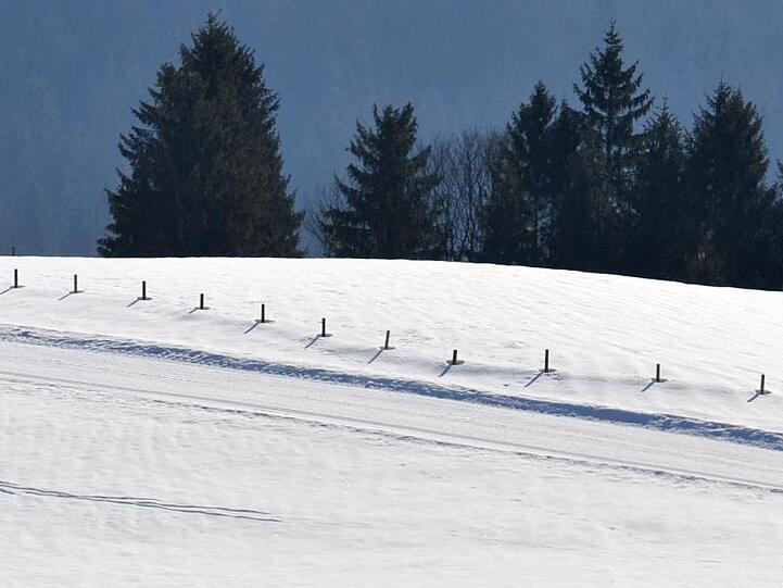 Langläufer gehen am Mittwoch bei Sonnenschein über eine Piste bei Reit im Winkl (Oberbayern). Foto: Andreas Gebert dpa/Archiv