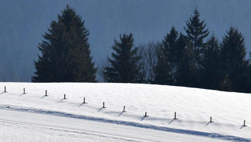 Langläufer gehen am Mittwoch bei Sonnenschein über eine Piste bei Reit im Winkl (Oberbayern). Foto: Andreas Gebert dpa/Archiv Langläufer gehen am Mittwoch bei Sonnenschein über eine Piste bei Reit im Winkl (Oberbayern). Foto: Andreas Gebert dpa/Archiv