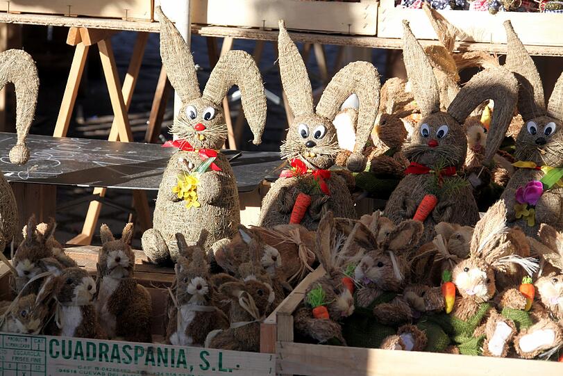 Es wird langsam wieder wärmer in München: Der Frühling liegt in der Luft. Die Bilder aus München