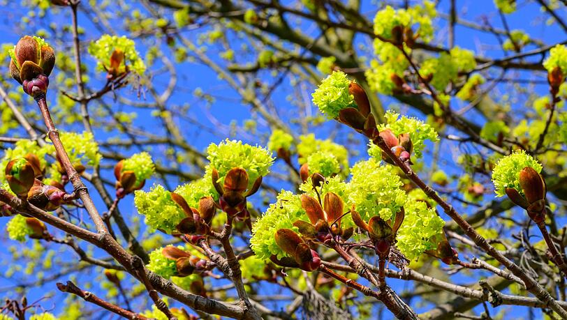 Der DWD erwartet viel Sonnenschein am Wochenende f&uuml;r Bayern. (Symbolbild)