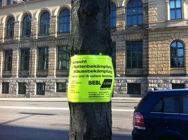 Auch vor dem Holzkirchner Bahnhof am Eingang zur Paul-Heyse-Unterführung legte die Stadt im Frühjahr Köder gegen Ratten aus.