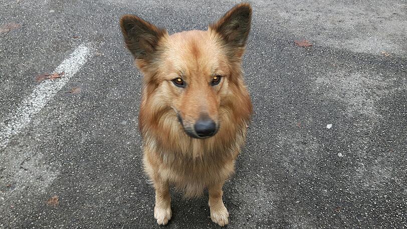 Balu