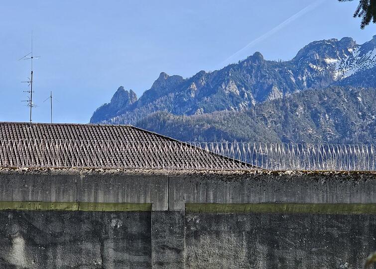 Stacheldraht der JVA Bad Reichenhall vor dem Gebirgszug der Schlafenden Hexe.