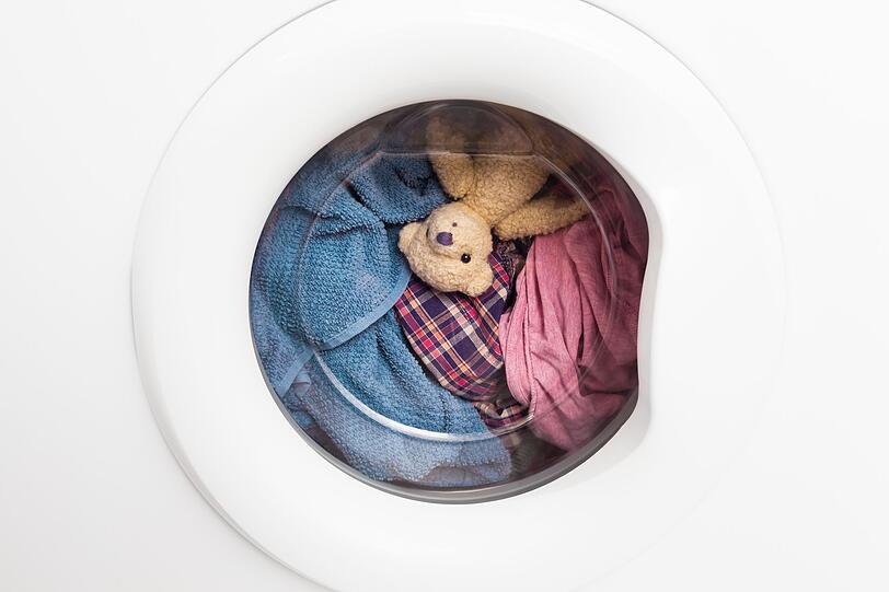 Kuscheltiere müssen einiges aushalten, das wissen alle Eltern. Vor allem müssen sie schnell wieder parat sein, wenn mal ein Missgeschick passiert ist. Wenn keine Plastikteile vorhanden sind, können Teddy & Co. bedenkenlos in Waschmaschine und Trockner. Kuscheltiere müssen einiges aushalten, das wissen alle Eltern. Vor allem müssen sie schnell wieder parat sein, wenn mal ein Missgeschick passiert ist. Wenn keine Plastikteile vorhanden sind, können Teddy & Co. bedenkenlos in Waschmaschine und Trockner.