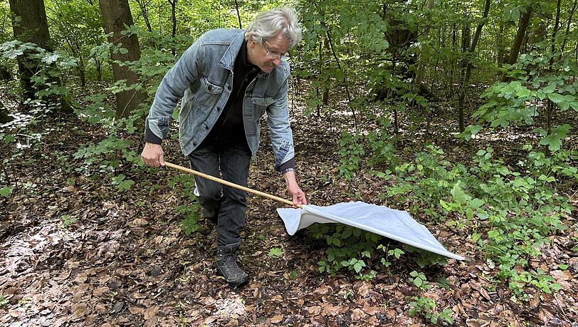 Olaf Kahl auf Streifzug. Mit der wei&szlig;en Flagge f&auml;ngt er Zecken. Sie krallen sich fest, weil sie denken, es k&ouml;nnte ein Wirt zum Blutsaugen sein.