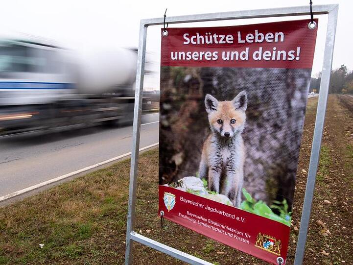 Ein neues Wildwarnschild am Straßenrand. Foto: Sven Hoppe/dpa/Archivbild