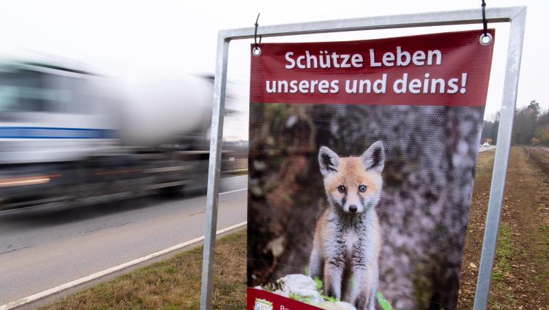 Ein neues Wildwarnschild am Straßenrand. Foto: Sven Hoppe/dpa/Archivbild Ein neues Wildwarnschild am Straßenrand. Foto: Sven Hoppe/dpa/Archivbild