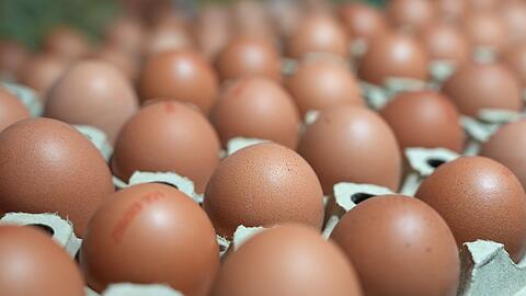 In manchen Lebensmittell&auml;den sind sie gerade Mangelware: Eier. (Symbolbild)