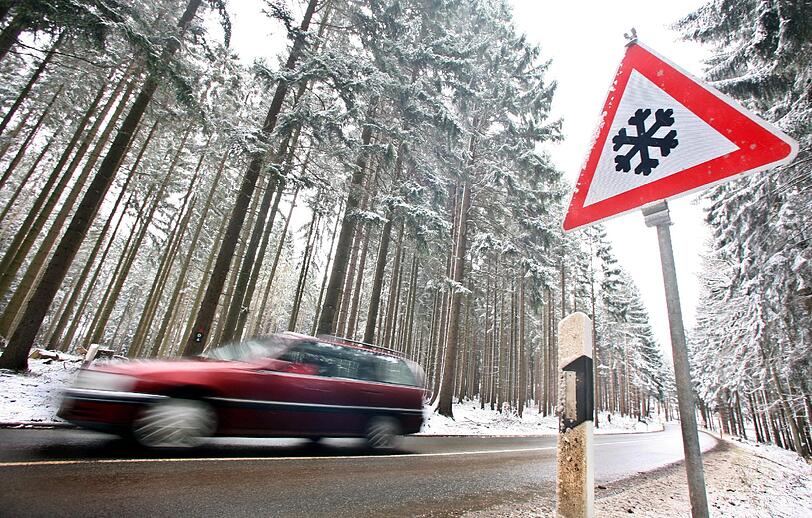 Sie wollten nur zurück: Doch weil sich zwei ältere Frauen nur auf ihre Navi verließen, landeten sie im Wald und kamen nicht mehr raus. (Archivbild)
