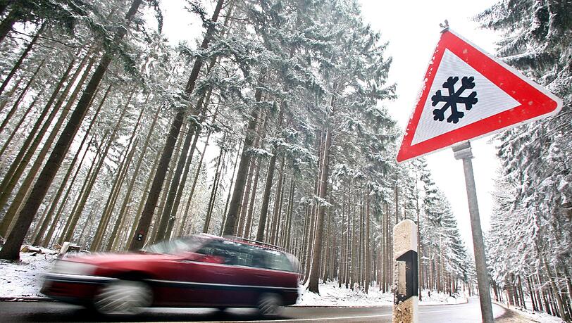Sie wollten nur zurück: Doch weil sich zwei ältere Frauen nur auf ihre Navi verließen, landeten sie im Wald und kamen nicht mehr raus. (Archivbild) Sie wollten nur zurück: Doch weil sich zwei ältere Frauen nur auf ihre Navi verließen, landeten sie im Wald und kamen nicht mehr raus. (Archivbild)