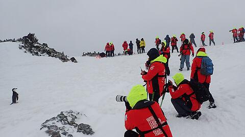 Viele Expeditionen erm&ouml;glichen es, die Tierwelt der Antarktis hautnah zu erleben.