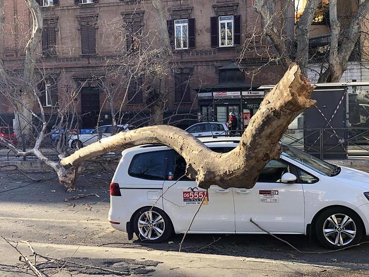 Bei starkem Wind ist der Ast eines Baumes in der Strasse Viale di Trastevere in Rom auf ein Auto gefallen.