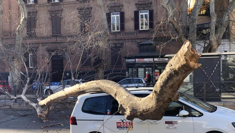 Bei starkem Wind ist der Ast eines Baumes in der Strasse Viale di Trastevere in Rom auf ein Auto gefallen. Bei starkem Wind ist der Ast eines Baumes in der Strasse Viale di Trastevere in Rom auf ein Auto gefallen.